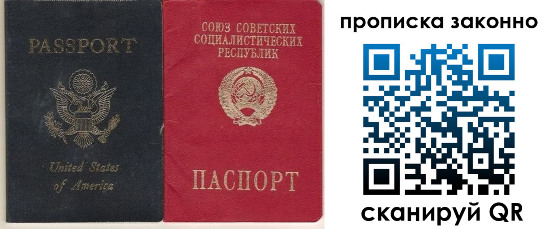 временная регистрация адрес в Димитровграде